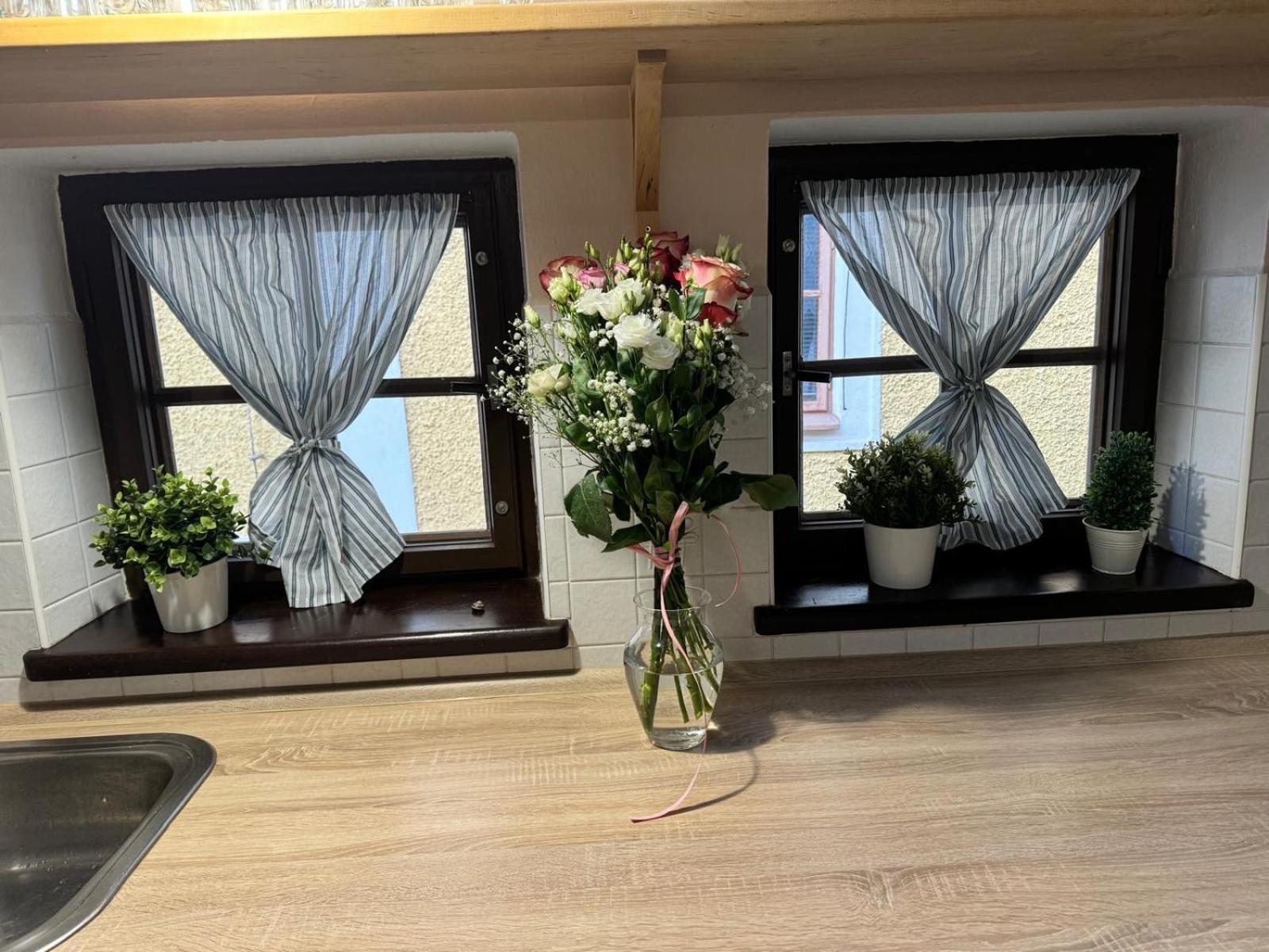 Apartman U Zamku Jindrichuv Hradec Luaran gambar